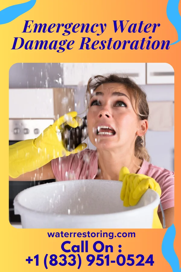 Emergency Water Damage Restoration in Cold Spring, MN