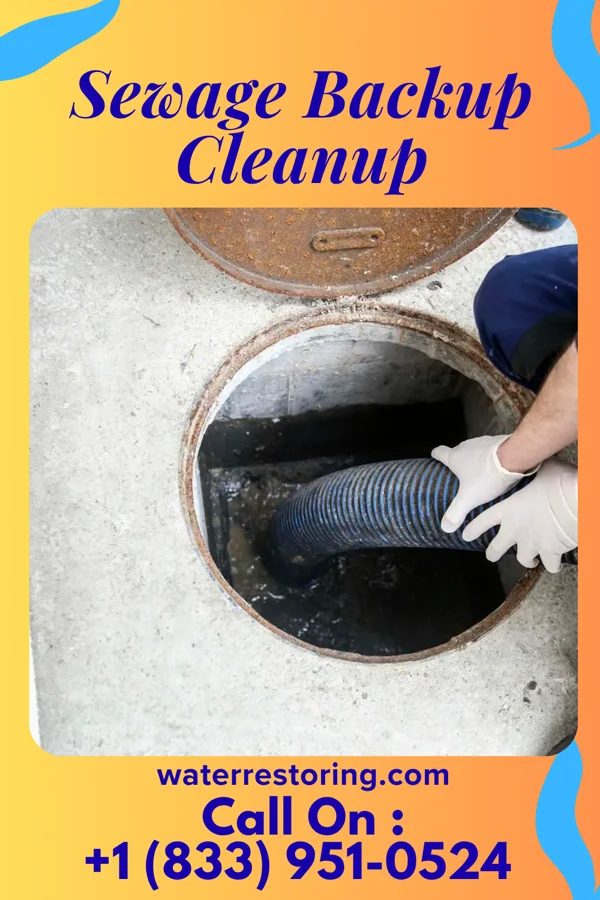 Sewage Backup Cleanup in Cold Spring, MN