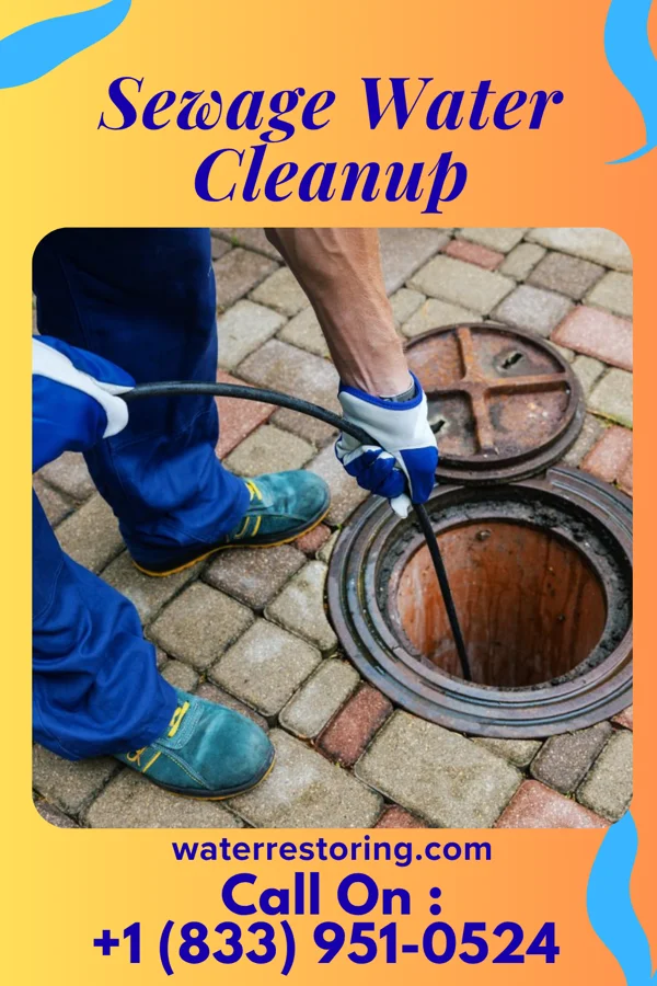 Sewage Water Cleanup in Cold Spring, MN