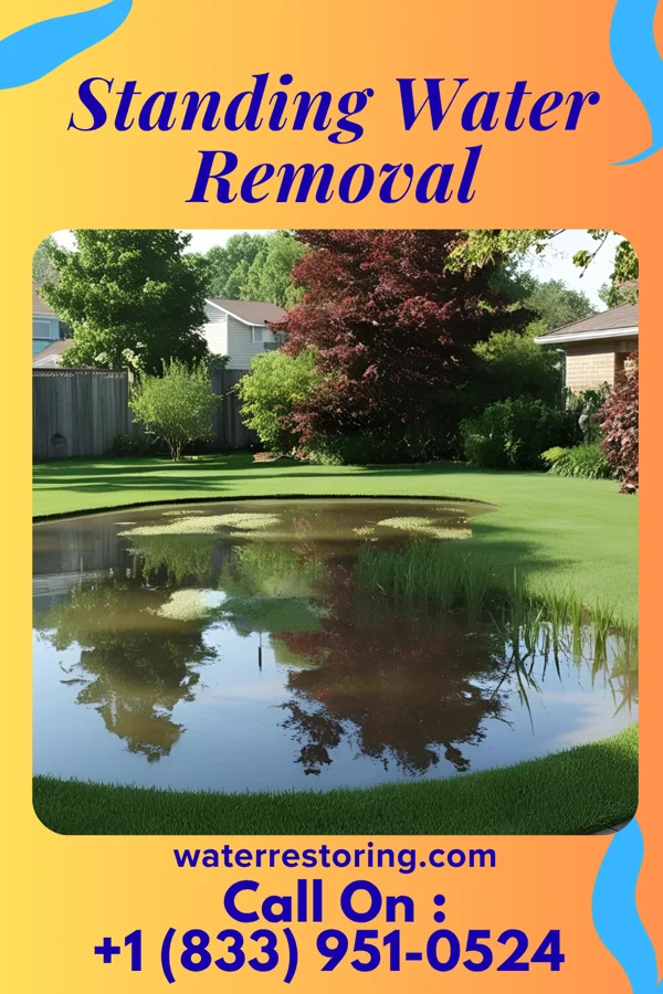 Standing Water Removal in Cold Spring, MN